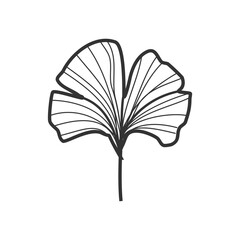 Ginkgo Biloba Floral Illustration: Hand-Drawn Nature Art
