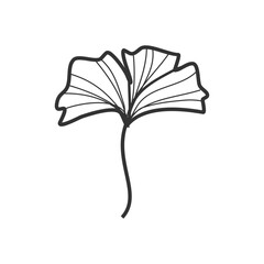 Delicate Ginkgo Hand-Drawn Illustration: Floral Design Inspiration
