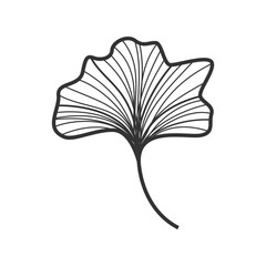 Ginkgo Biloba Floral Illustration: Hand-Drawn Nature Art
