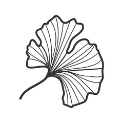 Elegant Hand-Drawn Ginkgo Floral Illustration: Nature's Art
