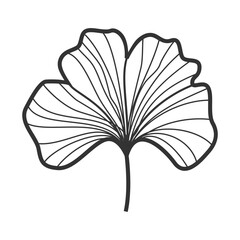 Unique Ginkgo Floral Illustration: Hand-Drawn Botanical Beauty
