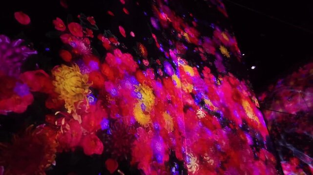 TeamLab Planets Tokyo Immersive Digital Art Museum Experience in Japan