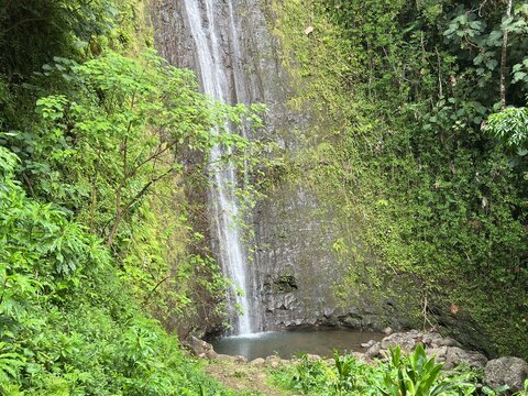 Manoa Falls Waterfall with Natural Pool in Tropical Oahu Hawaii