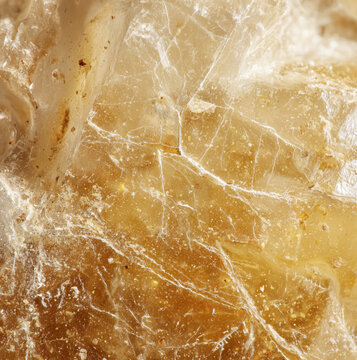 natural mastic gum resin fragments, amber translucent texture, isolated on white studio backdrop, subtle shadowing, macro commercial photography, ultra detailed, clean minimal composition