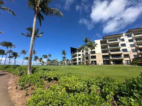 Modern Beach Resort Building with Palm Trees and Green Lawn Hawaii