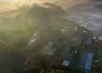 Aerial view of rice paddies reflecting soft light, villages nestled amidst lush greenery, and mist-shrouded hills, Bali, Indonesia.