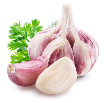 Fresh garlic bulbs with several cloves and sprigs of green parsley are presented, isolated on a clean white background. Vegetable, ideal for cooking and nutrition concepts.