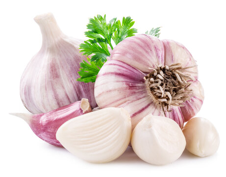 Fresh garlic bulbs with several cloves and sprigs of green parsley are presented, isolated on a clean white background. Vegetable, ideal for cooking and nutrition concepts.