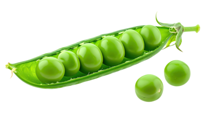 Isolated shot of a pea pod opened to reveal bright green peas on a black background