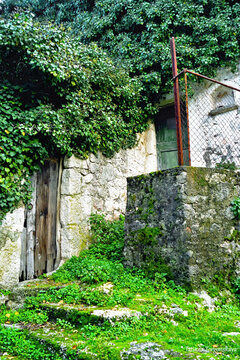 Village house overtaken by plants symbolizing rural depopulation patterns. Illustrates demographic challenges, countryside abandonment, traditional lifestyle disappearance, and migration consequences.