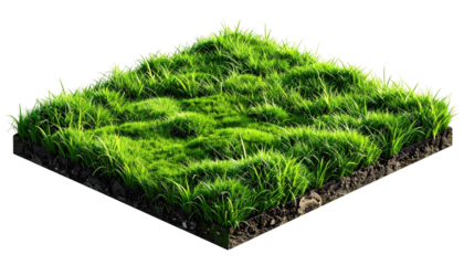 Isometric view of a square patch of vibrant green grass atop dark, earthy soil, isolated