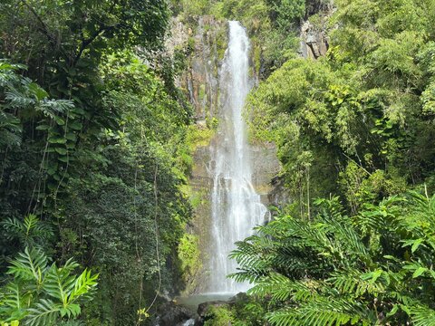 Waterfall cascading through lush rainforest