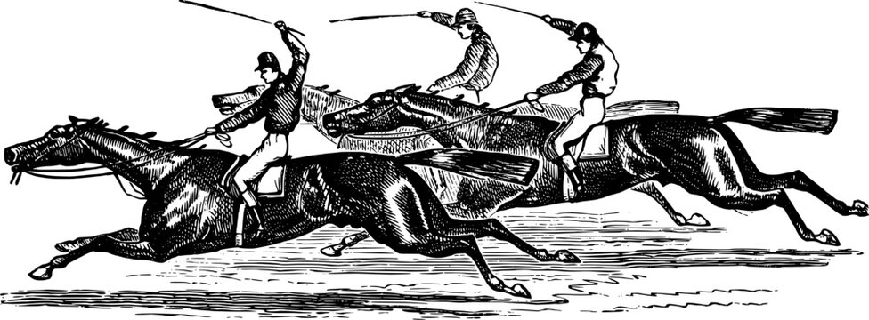 Vintage Horse Racing Illustration Engraving