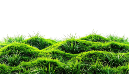 Lush green grassy mounds against a dark background with vibrant light