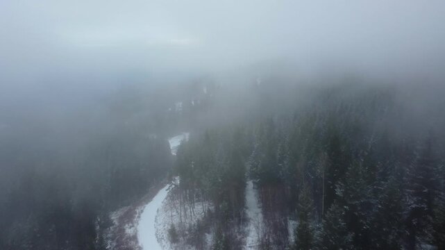 Looking Down on Snow Covered Winter Green Trees in Dense Lush Forest. Canadian Forestry, Lumber Logging Industry. Winter Landscape over Forest Trees Low fog and clouds on gloomy winter day.