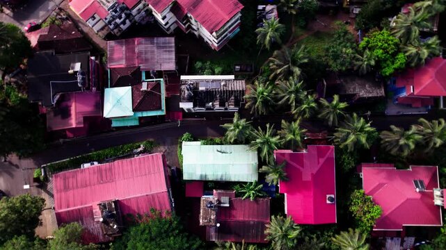Red roof houses with coconut trees and street road at coastal village, south goa, india. day time, top down orbit shot, drone shot, 4k.