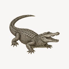 Fototapeta premium Detailed crocodile illustration art