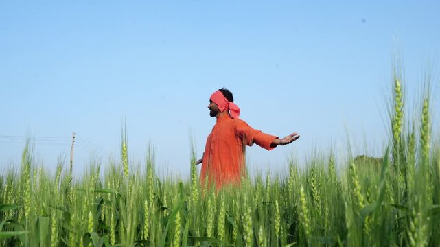 happy indian farmer standing at agricultural field