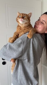 Happy orange cat sitting in hands of his owner girl at home. Woman scratching orange cat's head, petting him