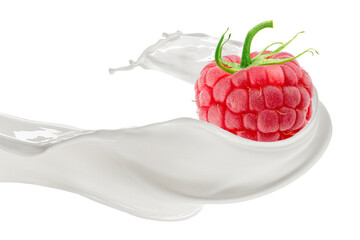 Milk Splash with Fresh Raspberry