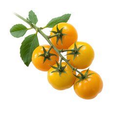 Yellow Tomatoes Growing on a Branch in a Garden During Daylight Hours