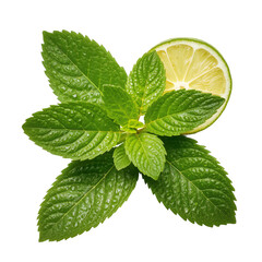 Fresh Strawberries and Limes With Mint Leaves on a White Background
