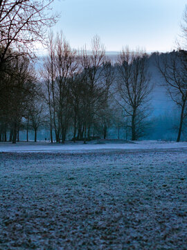 winter in the parck
