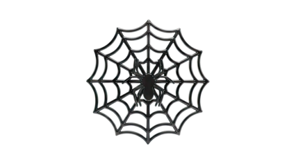 Black Spider and Web Decoration