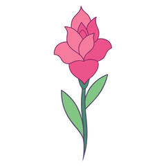 Fototapeta premium gladiolus pink line art on white background 