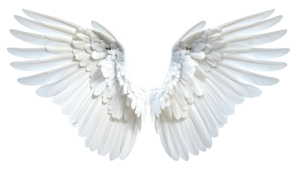 Pair of angelic white feathered wings isolated against a black background, symmetrical