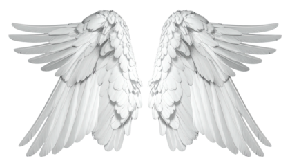 Pair of delicate white wings, intricately detailed against a transparent backdrop, symmetrical in design