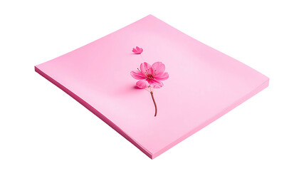 Pink flower on a pink square with a black background, centered and in an oblique perspective