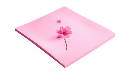 Pink flower on a pink square with a black background, centered and in an oblique perspective