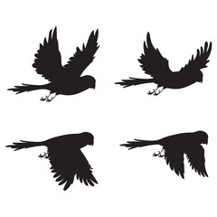 Obraz premium Bird silhouette vector art design