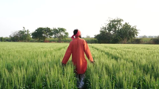 happy indian farmer standing at green wheat field