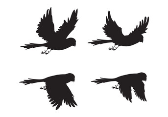 Obraz premium Bird silhouette vector art design