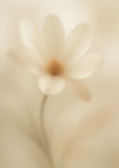 Obraz premium Soft floral dreamy elegance