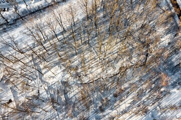 Drone shot of a serene winter forest blanketed in fresh snow. A winding creek flows through bare trees, casting long shadows under a bright sun