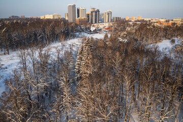 Stunning aerial view of a frosty winter forest, snow-covered trees reaching towards a distant cityscape under golden hour light, contrasting nature and urban development