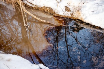 Foul oil spill contaminates a peaceful winter creek, its iridescent sheen marring the clear reflections of bare trees. A stark reminder of nature's vulnerability to human impact