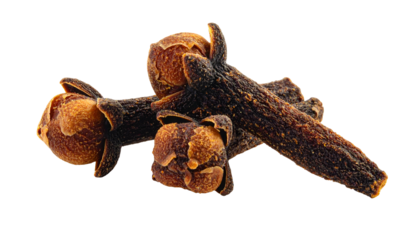 Close-up studio shot of a small pile of dried spice buds with elongated stems, varying in size and orientation against black