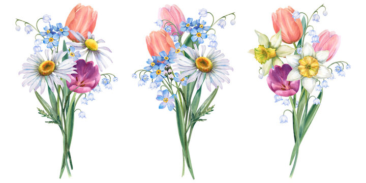 Watercolor daisies, chamomile, tulips, forget-me-nots, and lilies of the valley - a spring bouquet of flowers. Hand-drawn illustration of flowers on a white background. A large set of flower bouquets