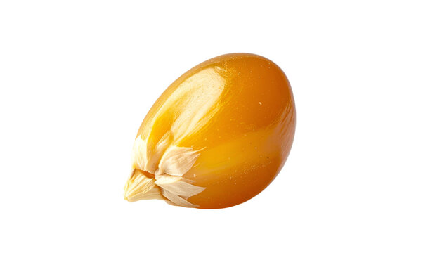 Close-up of a single kernel, featuring a vibrant, yellow hue and intricate details on a plain, black background