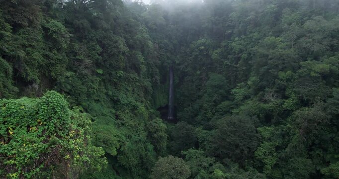 Drone shoot. Waterfall hidden in tropical rainforest jungle, falling water hitting water surface, some huge rocks seeable in through splashes. Bali