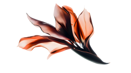 Abstract composition featuring glowing translucent tropical leaves illuminated dramatically on transparent background