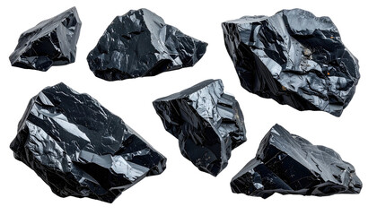 Several dark, rough mineral fragments isolated against a black background