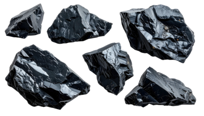 Several dark, rough mineral fragments isolated against a black background