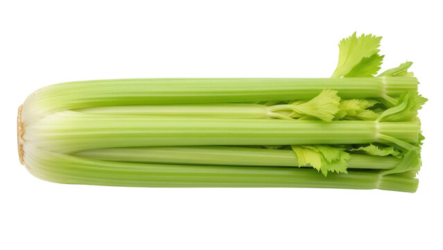 Fresh green celery stalk isolated PNG, healthy vegetable with crisp texture on transparent background for cooking and healthy eating concepts
