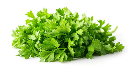 Fototapeta premium parsley herb isolated on white