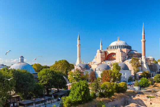 Hagia Sophia mosque in the Sultanahmet Park in Istanbul, Turkey during sunny summer day. Aerial shot with flying seagulls